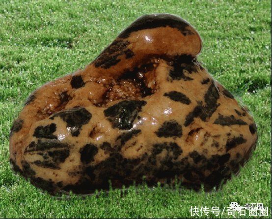  规格|“最不舍得卖的石头”入围作品展示（下）