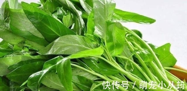 秋天，别错过这碱性食物，7毛钱一斤，用来包饺子鲜嫩多汁超级香