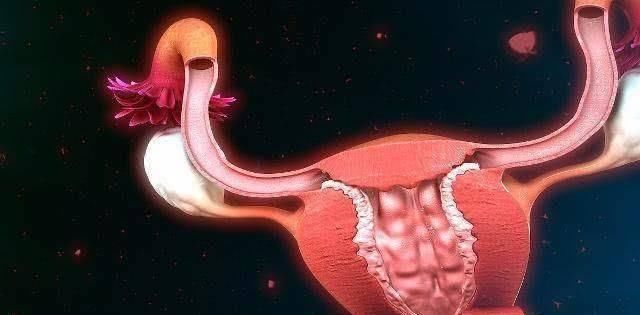 哺乳|生完宝宝后,若你在“这个时间”来月经,说明你子宫恢复的挺好