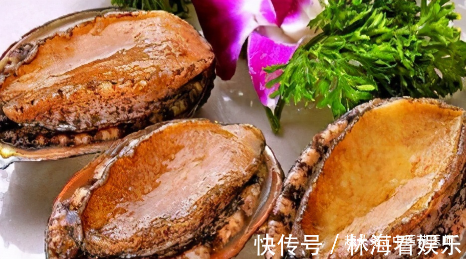 鲍鱼肉|对人体极好的食物,男女坚持吃,细腻肌肤,活血养颜,排毒润肤