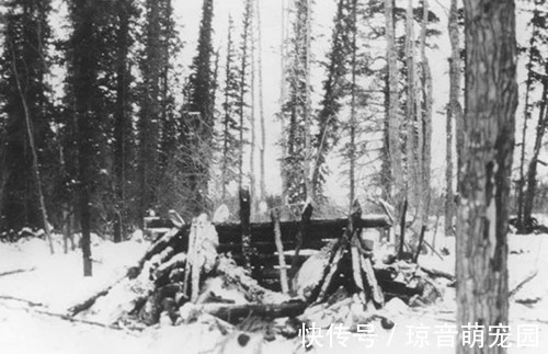 真實身份|史上最強逃犯：負重72斤跑得比狗還快，80年來真實身份成謎