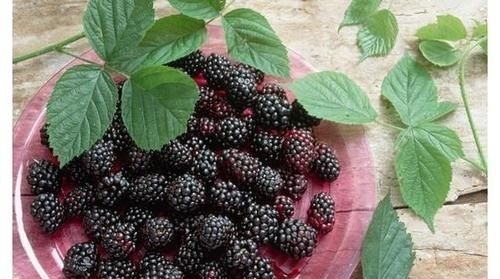 皮肤状态|女性衰老时，出现的小信号，要提前“警惕”，尤其是更年期的女人