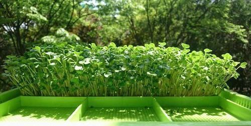 抗癌|肿瘤大夫12年前患癌,后击溃癌症徐克成防癌谨记“4个字”