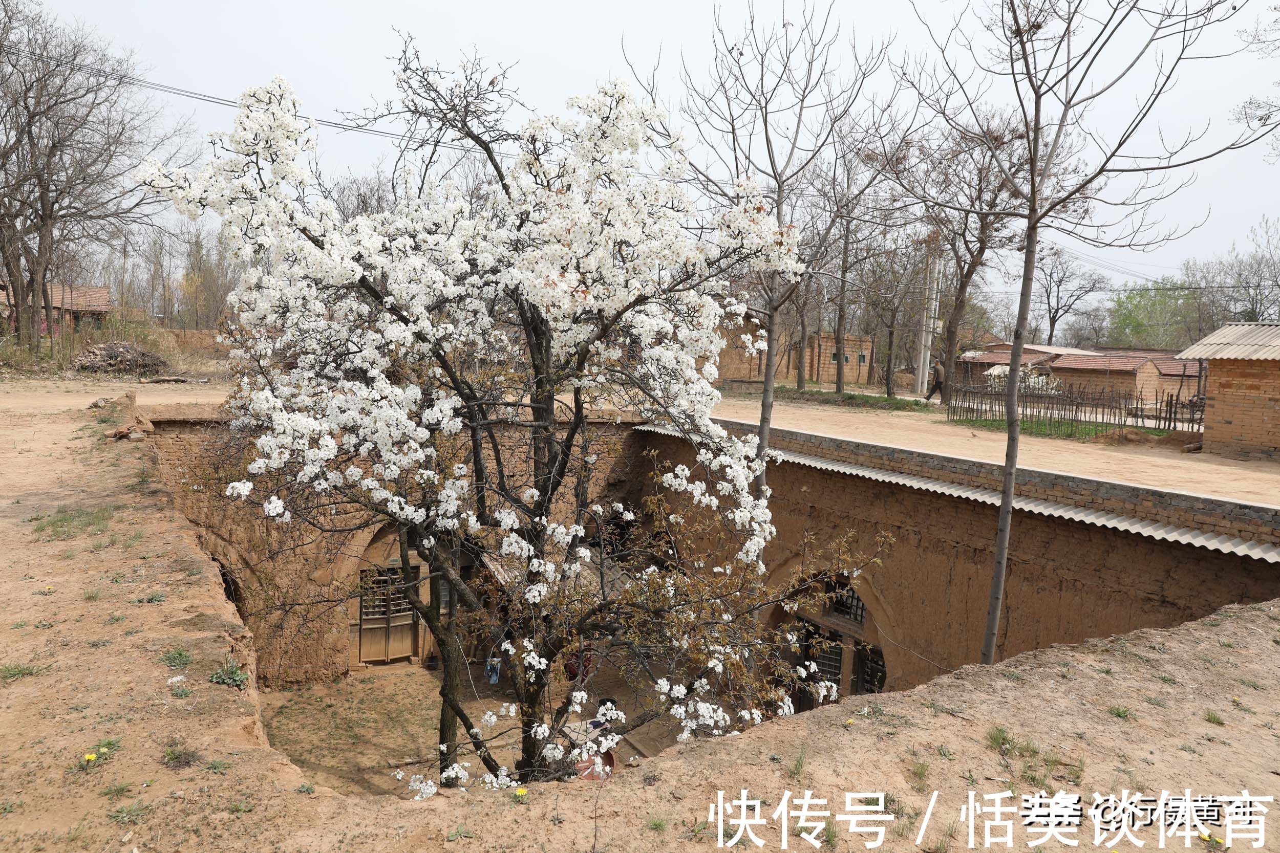 窑洞|深山游玩，50元买下哑巴大妈1袋山核桃，刚出门就被她拉住不让走