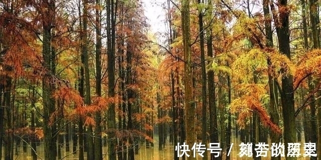 书生!南宋一落魄书生在墙上写了一首打油诗,没想到却是成为了经典之作