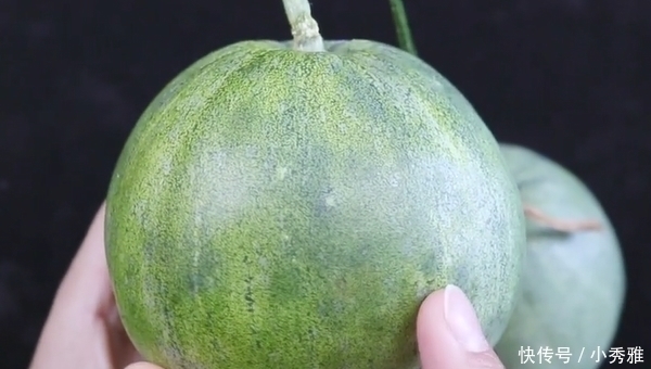 好不好|甜瓜好不好,看“屁股”就知道,一挑一个准甜,瓜店老板都在用!