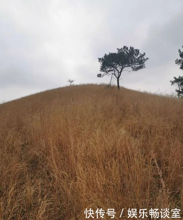 故乡山，家乡情