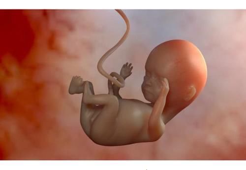 产妇|产妇产检做“四维”，胎儿在子宫里“数数”医生：下一个数学天才
