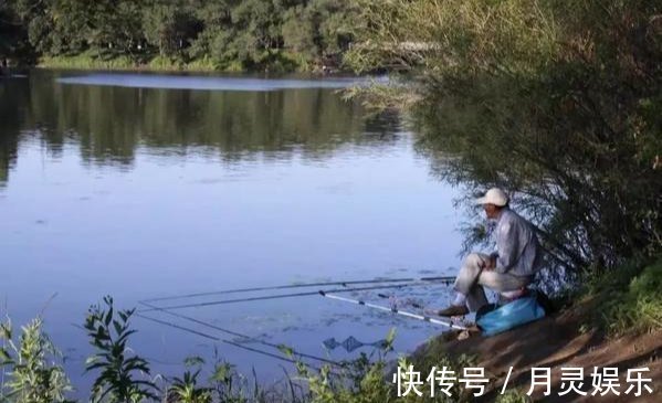 鱼钩|野钓饵料就用它，对大鲤鱼有致命诱惑，抛竿就黑漂上鱼！