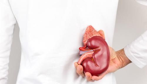 身体两个部位很臭,最好去检查一下肾脏,尿毒症可能已经找上你