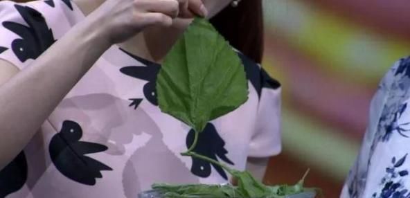 粘度|人到中年,血液粘稠该怎么办?用此物泡水喝,可有助于预防血栓