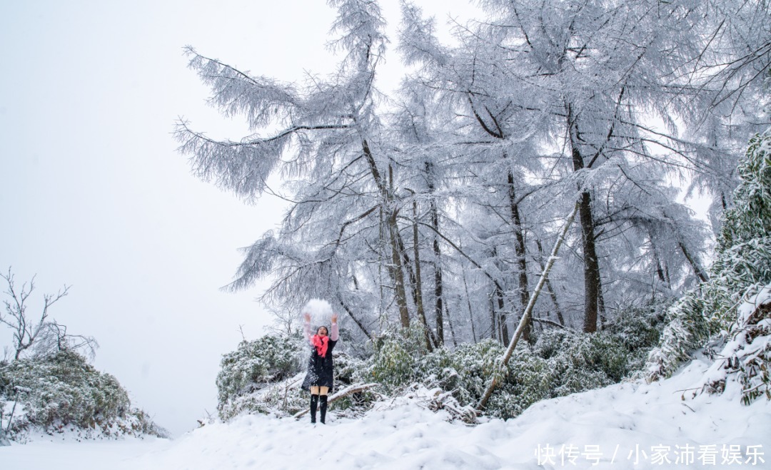 重庆主城|下雪了！雪玉山今冬第一场雪已“到货”，美景刷爆朋友圈！