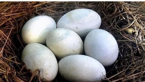 芹菜|女性害怕老太快,可以多吃3种食物,排毒养颜,有益健康!