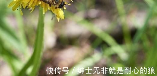 食物|保肝不如排毒?三种白色食物尽量少吃,肝脏负担会降低很多!