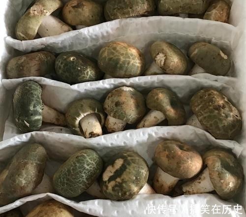 因长成“绿色”而稀罕,产地一斤炒到300元,网友送我都不敢吃