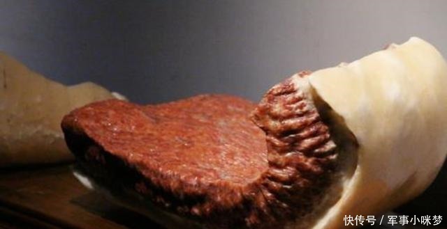 只为|男子爱宝成痴,50万卖掉别墅只为换块“红烧肉”,专家千万别卖