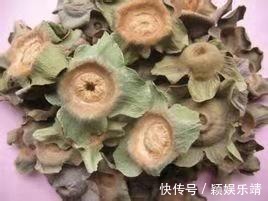 泡水|柿子蒂泡水太厉害了,每天喝一杯,男女都离不开,现在了解还不晚