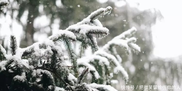 12句民间俗语,暗藏玄机,大有智慧