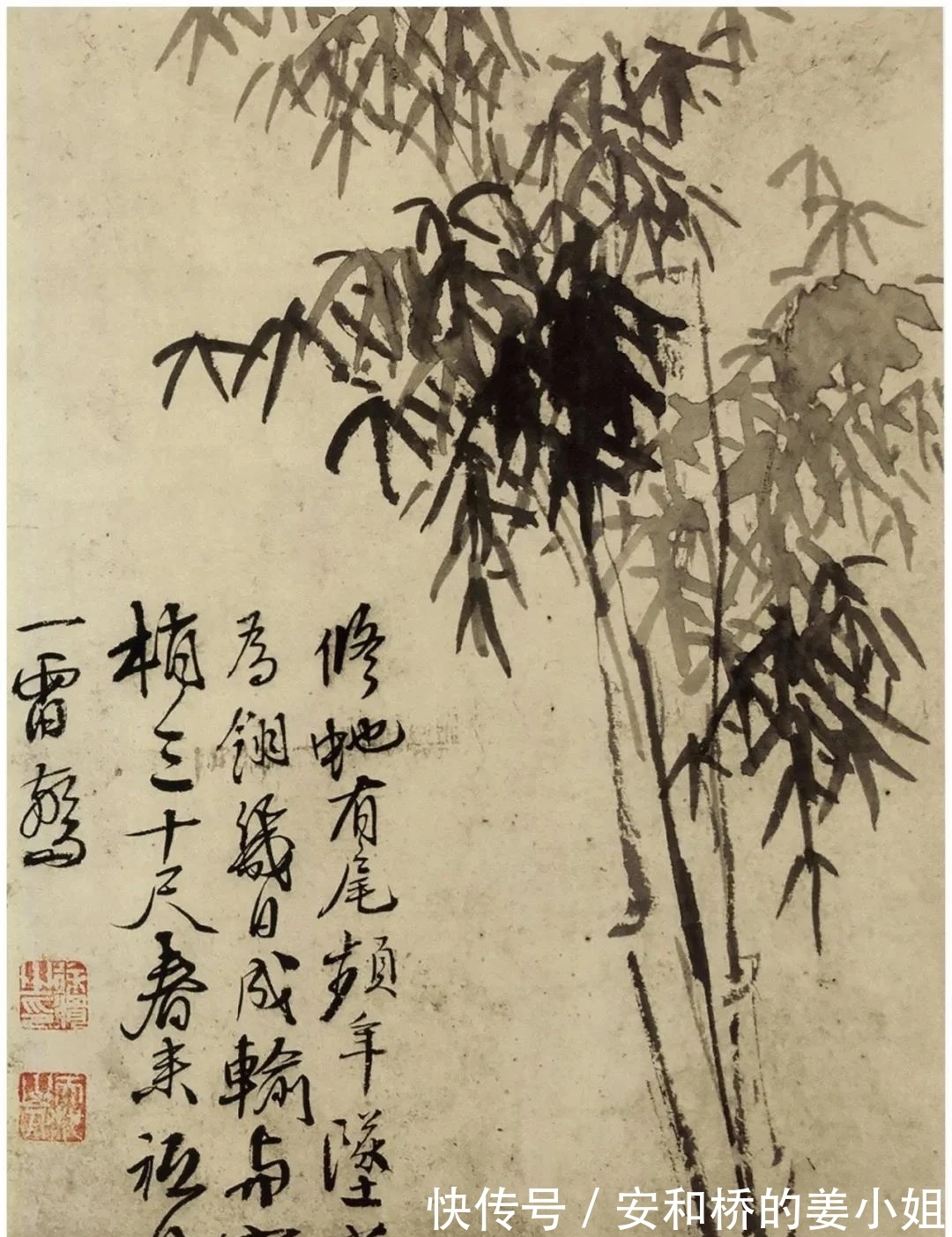 芭蕉！花鸟画一代宗师｜徐渭画竹，当在青藤之后，芭蕉之上，你认为呢？