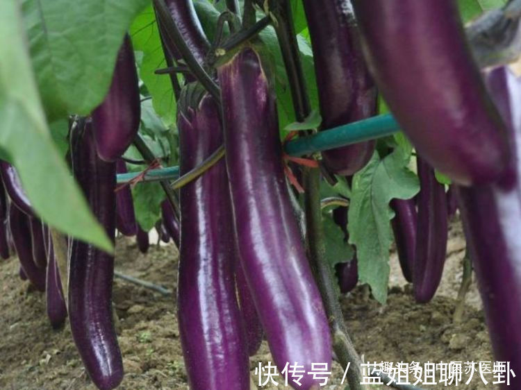 补充营养|女性平时爱美,三种食物多吃点,补充营养,改善体质,气色好