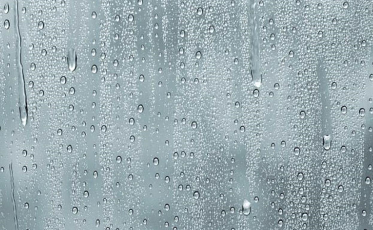 保健食品|老是放屁估计是脾虚了,1个小方子,健脾养胃,湿气不来扰