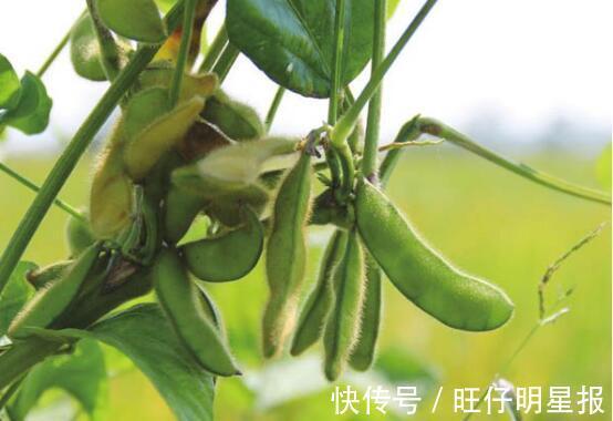 血糖|45岁大姐4个月时间，血糖异常升高，医生建议：2种蔬菜要少吃