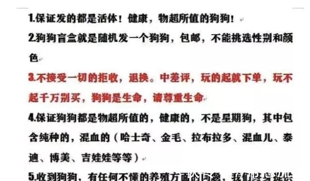 up主|隐秘的电商生意：我花35块网购，收到一具尸体