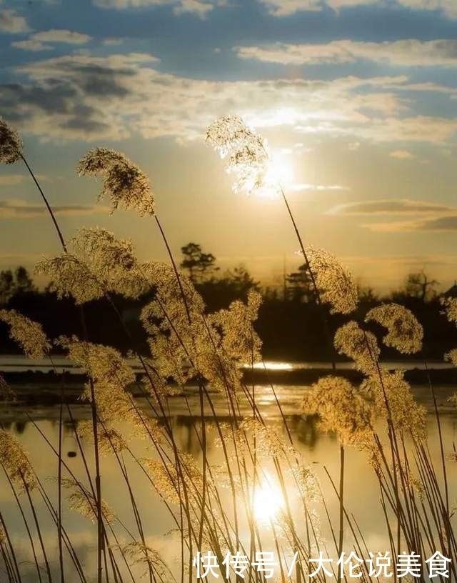 【诗词鉴赏】冬天来了,乡愁更浓了,10首思乡的诗词,让人怎能不思乡!
