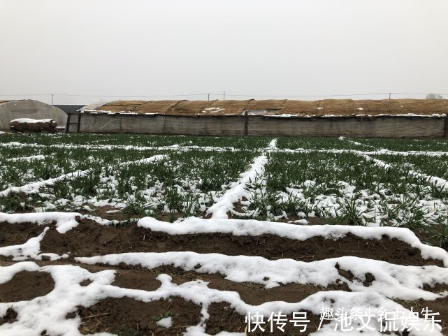 后天惊蛰,农村俗语惊蛰不冻虫,寒到五月中