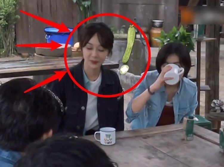 杨紫直言是冲着晚饭来录节目的，听到黄磊的回应，整个人都不好了