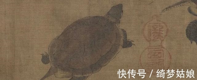 国龟&两种国龟的悲歌——古时的山泽常客到现今的附录稀客