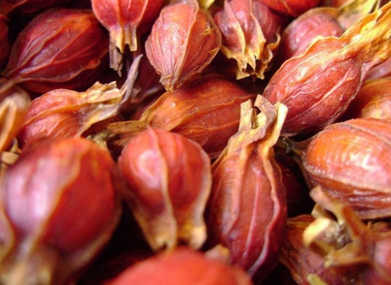  介绍|57种香料特性介绍喜欢的收藏