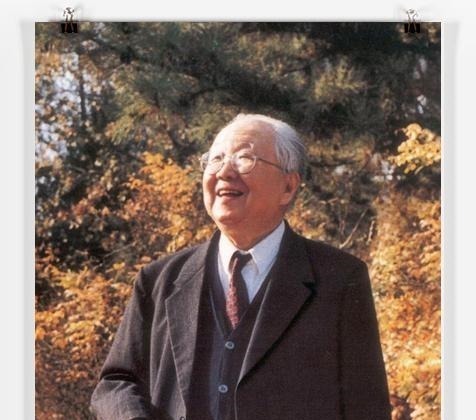 书坛@启功47年前写的书法,书法瘦硬方通神,网友却喷烂大街火柴棍体!