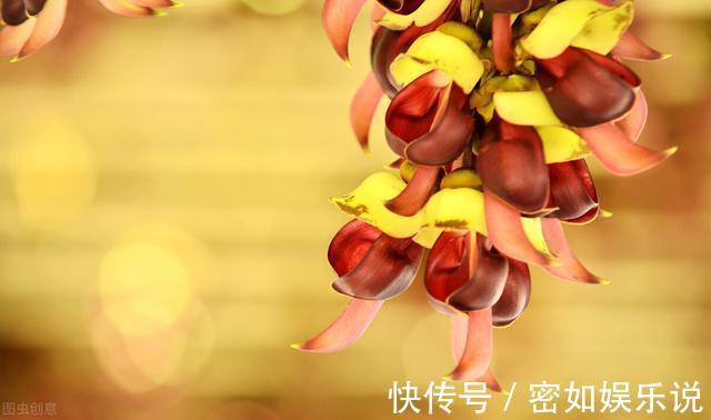 守信|一个有教养的人,总会在这四个方面做得很好