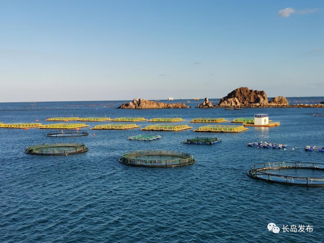 碧波|在长岛，领略北方海岛的魅力