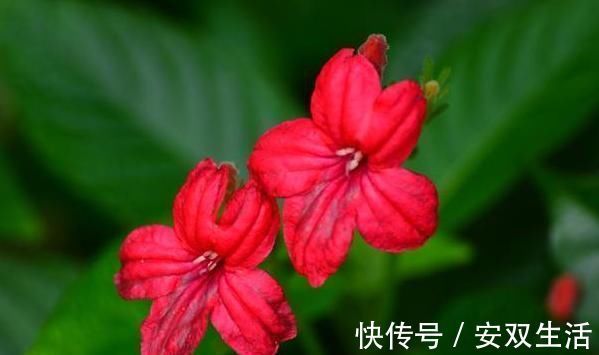 大器|孩子以后能否成大器,和成绩无关,这3句话点醒无数父母