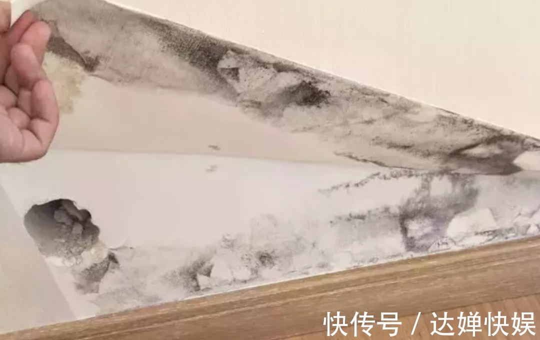 池女士|我扛过了买房的苦,却因为装修崩溃了……