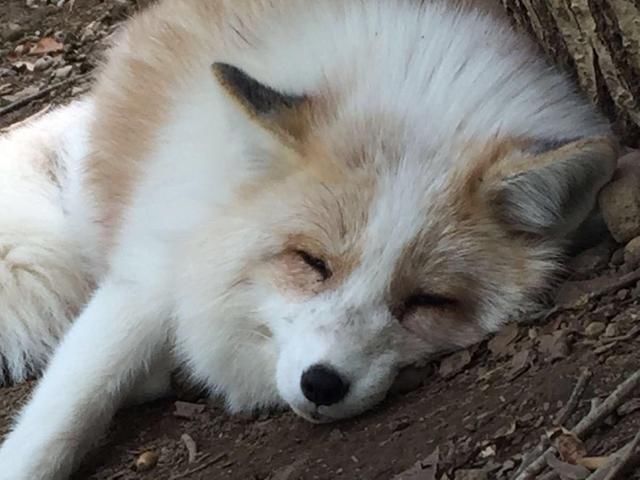 小说@强推5本不出名却好看的网络小说,解决书荒困扰,重拾阅读快乐