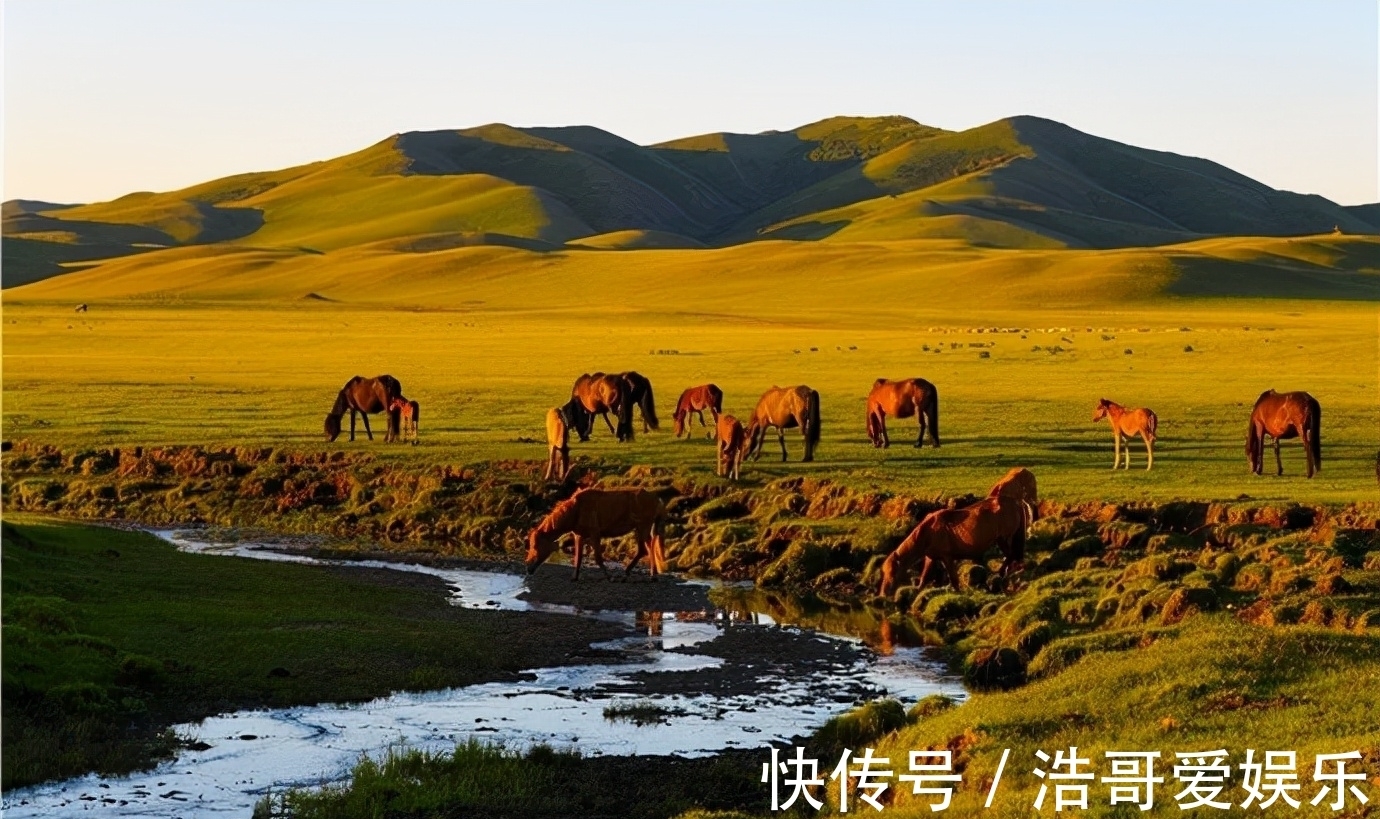 胡杨林|适合金秋季节出行的八大景点，秋色美游客少，11月就这样安排吧