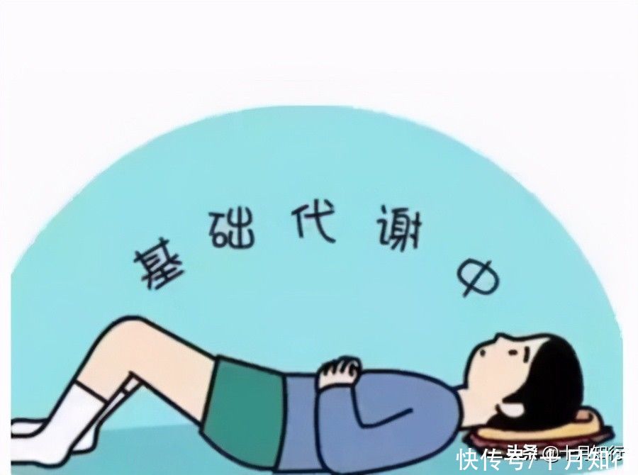 因素|减肥,都想着提高基础代谢,可是你知道哪些因素会影响基础代谢吗