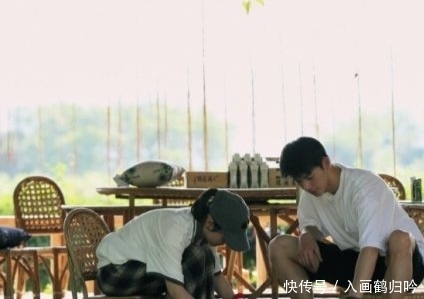 未播先火|《向往的生活》未播先火,杨紫未离开又迎来他,粉丝:熬夜也得追