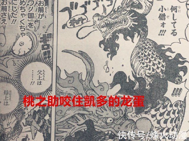 大蛇|海贼王1026话:大蛇果然还没死，桃之助咬住了凯多的“龙蛋”?