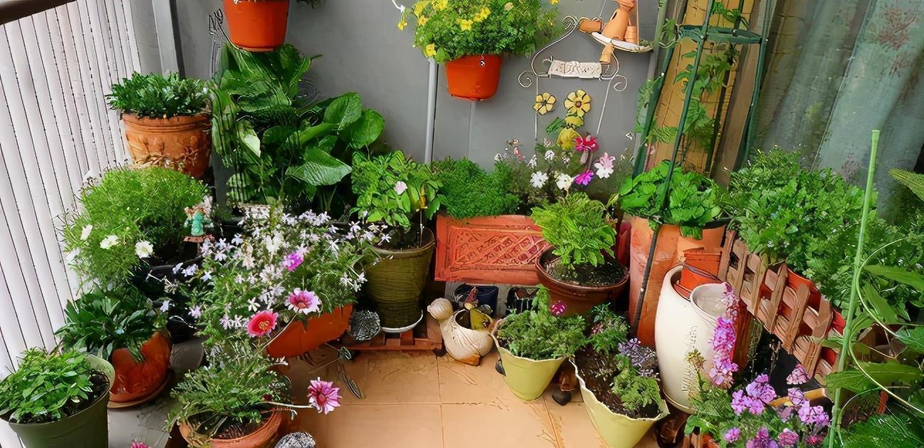 春日养花,常见这些“害虫”该怎么治疗?用它就不用喷药