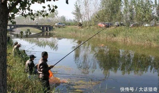 春季钓鱼为什么越是晴天,鱼越难钓这4方面有原因