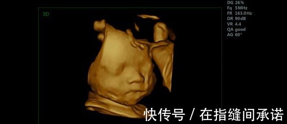 小家伙|孕期孕妈如果有这三种表现,恭喜你胎儿智力发育很好