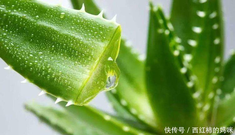 减肥瘦身|女性想要身体好,多吃3种食物,排毒养颜,减肥瘦身,越活越年轻