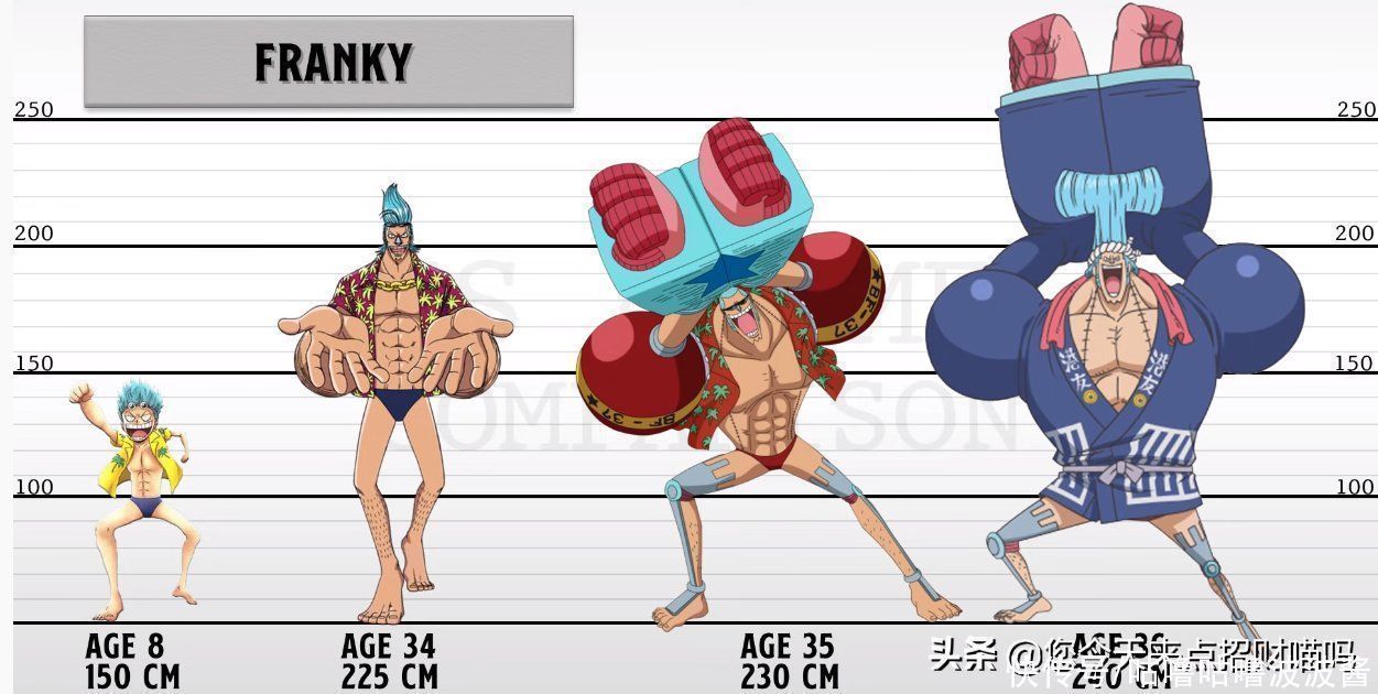 路飞|海贼王时隔24年,草帽军团成员发生了哪些变化?
