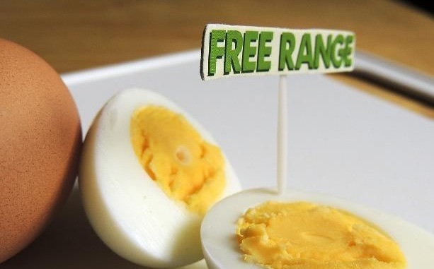 蛋白质|早餐吃煮鸡蛋有很多好处,但很少有人知道,吃鸡蛋的3个禁忌!