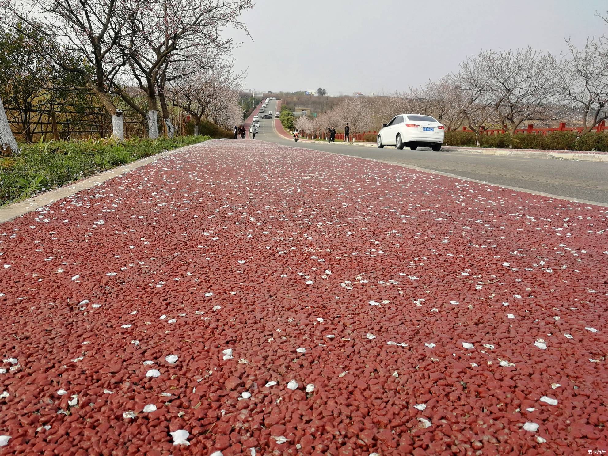 不负春光，乡村赏花