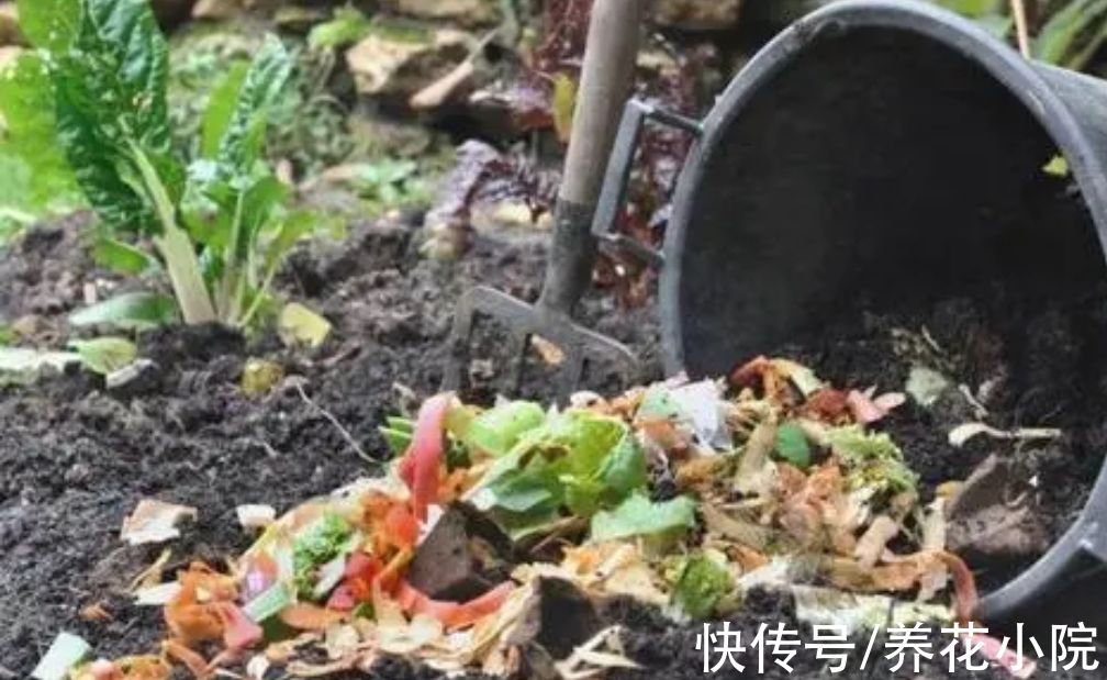 花生壳|花土不用买，自己就能制作，松软肥沃，啥花都能养